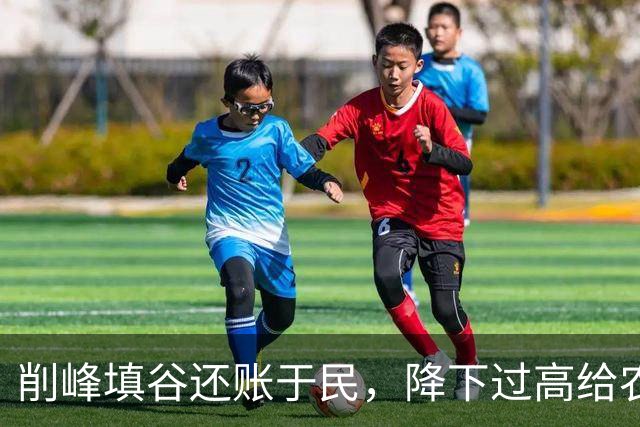 削峰填谷还账于民，降下过高给农民养老金补到1000可行性